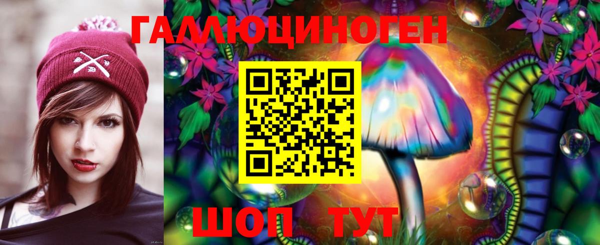 Димитровград  Псилоцибиновые грибы Cubensis  Вход с VPN 